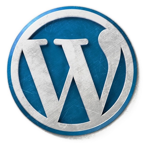 WordPress Pro Tips - The Quick And Dirty Guide