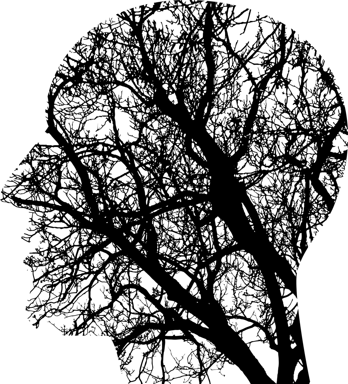 The Creepy Crawlies In the Basemen of Your Brain